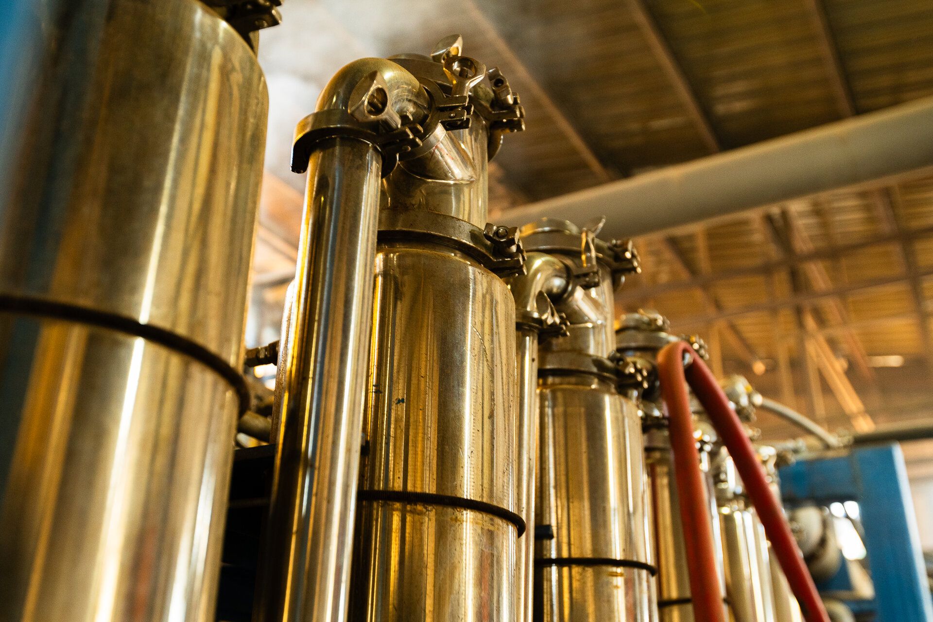 A row of polished stainless steel still columns, steam rising