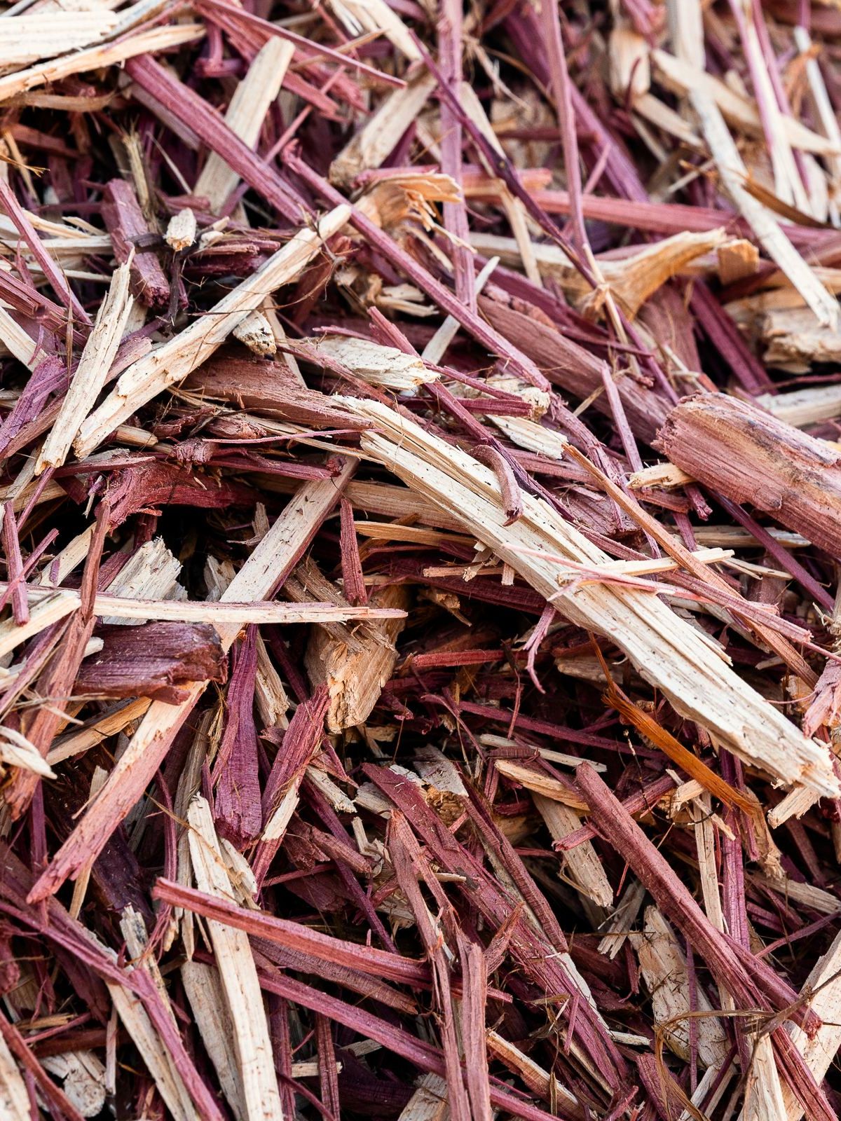 Red cedar shavings, close up