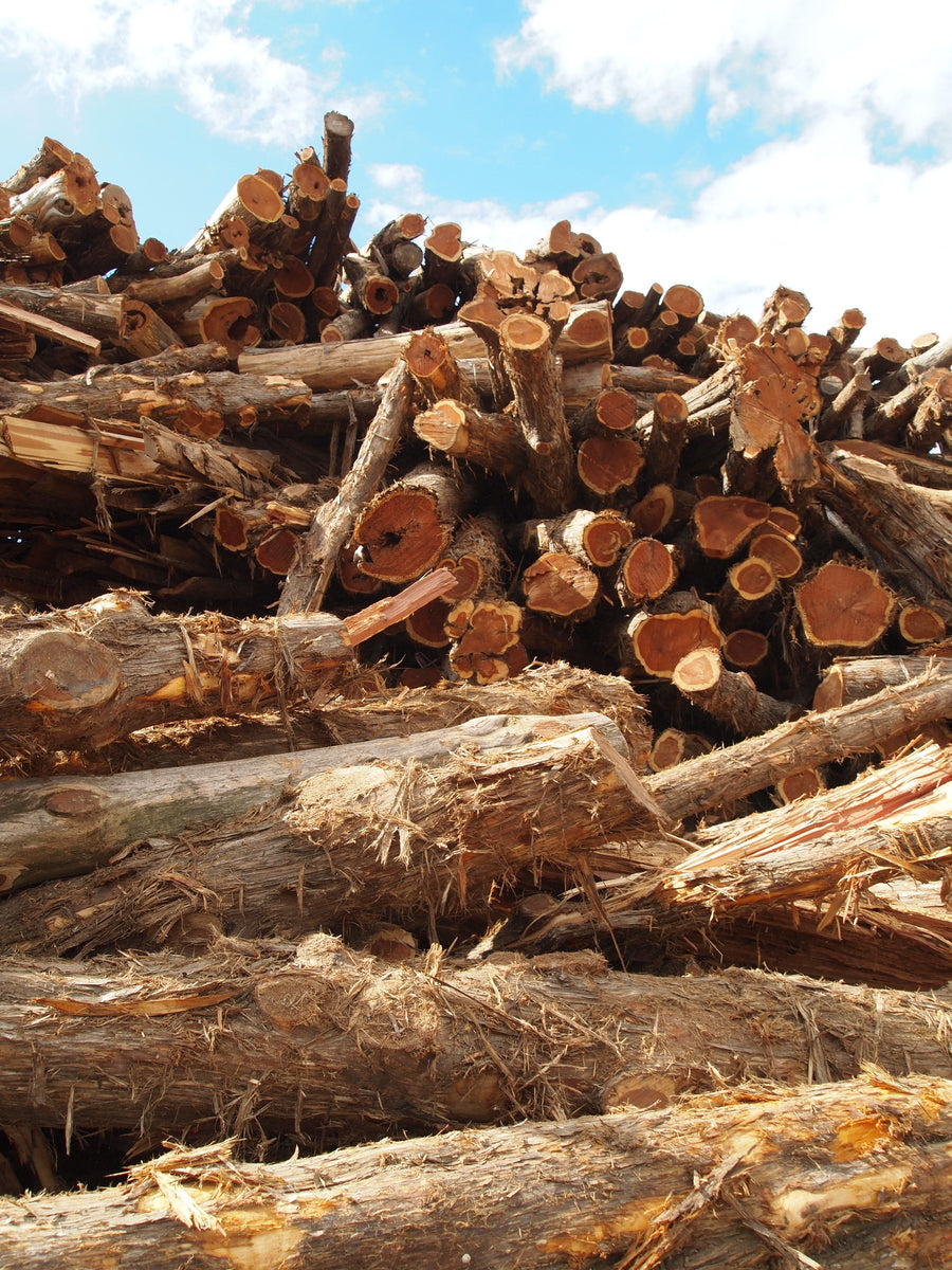 Where Does Our Virginia Cedarwood Come From?
