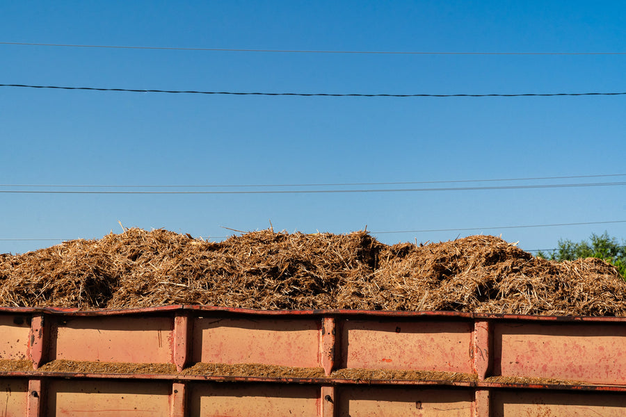 What Happens to the Wood After Distillation?