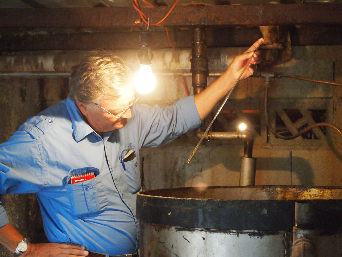 Inspecting essential oil as it collects in the receiver during distillation.