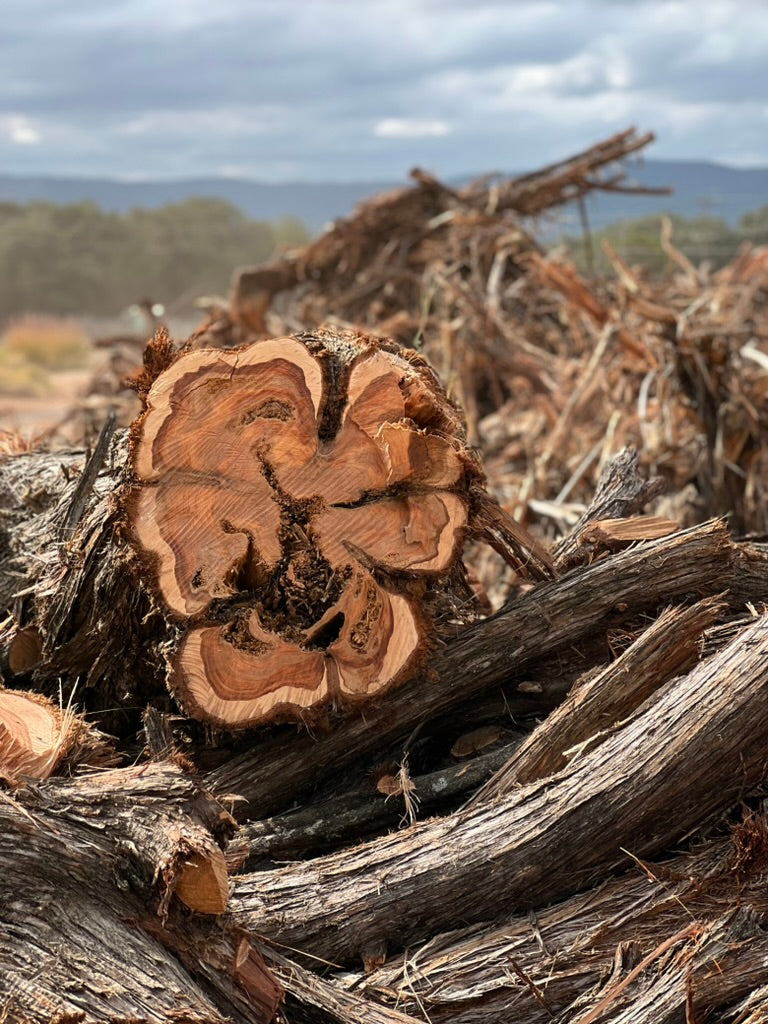 Texas Cedarwood Oil
