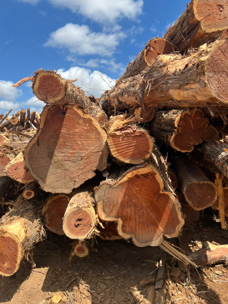 Virginia Cedarwood Oil