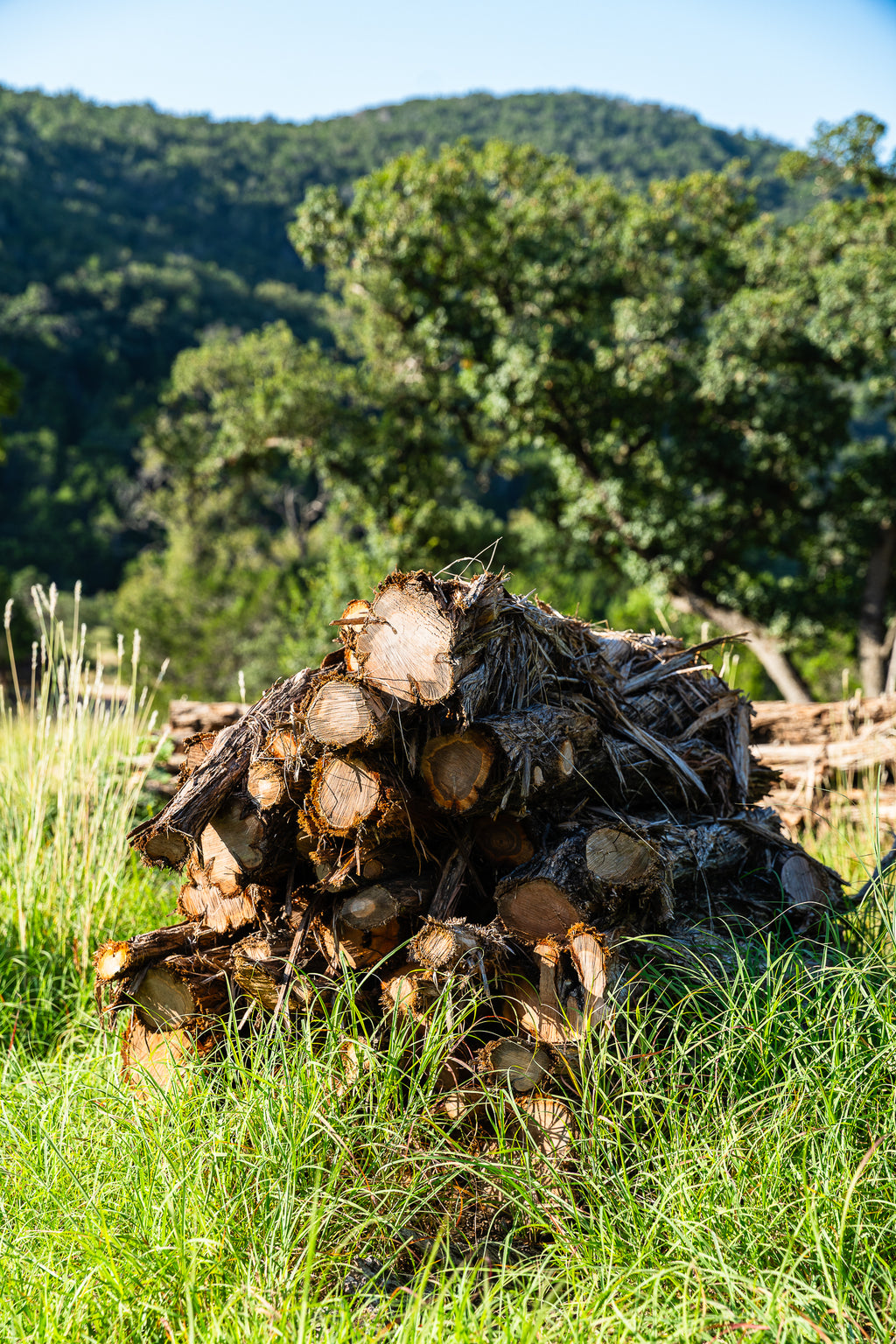 Texas Cedarwood Oil